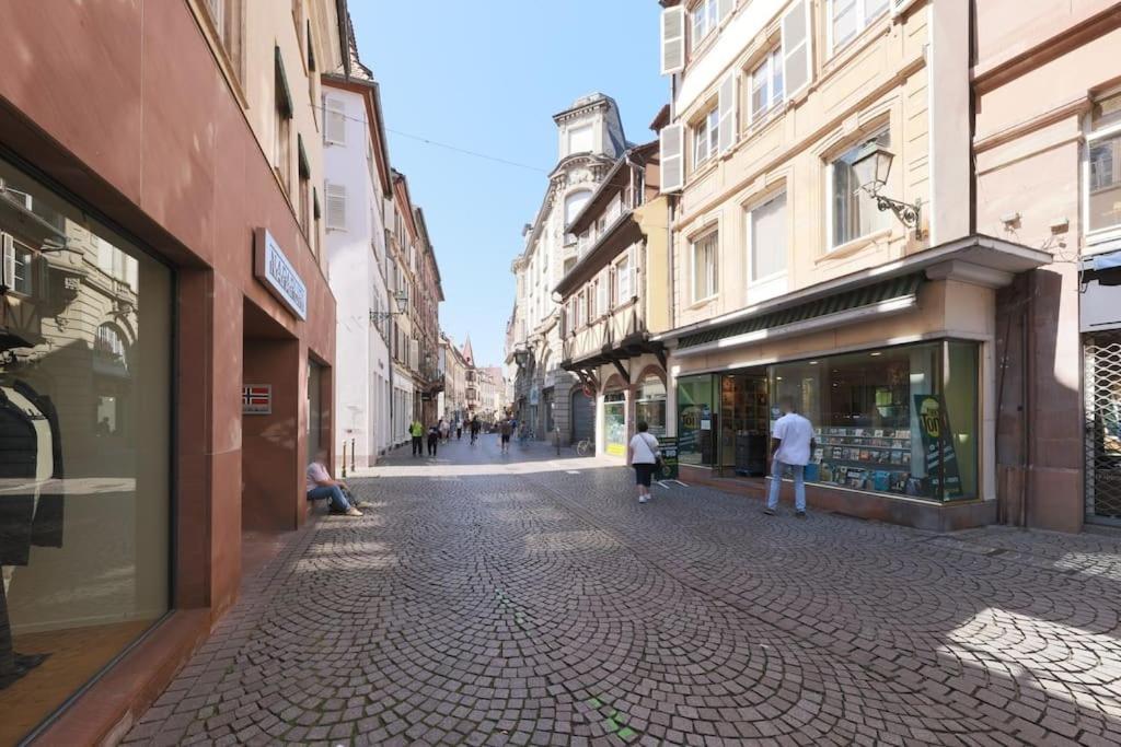 Le Nid Alsacien - Charmant T2 Au Centre Ville De Страсбург Екстер'єр фото